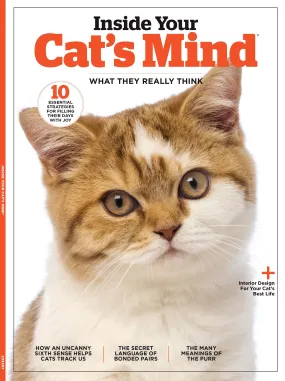 Inside Your Cats Mind - What They Really Think & Need, Dr. Zazie Todd & Mikel Delgado Animal Behaviorist, 10 Essential Strategies For Their Happiness, The Many Meanings Of The Purr & More!