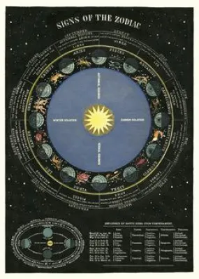  Zodiac Chart  Poster